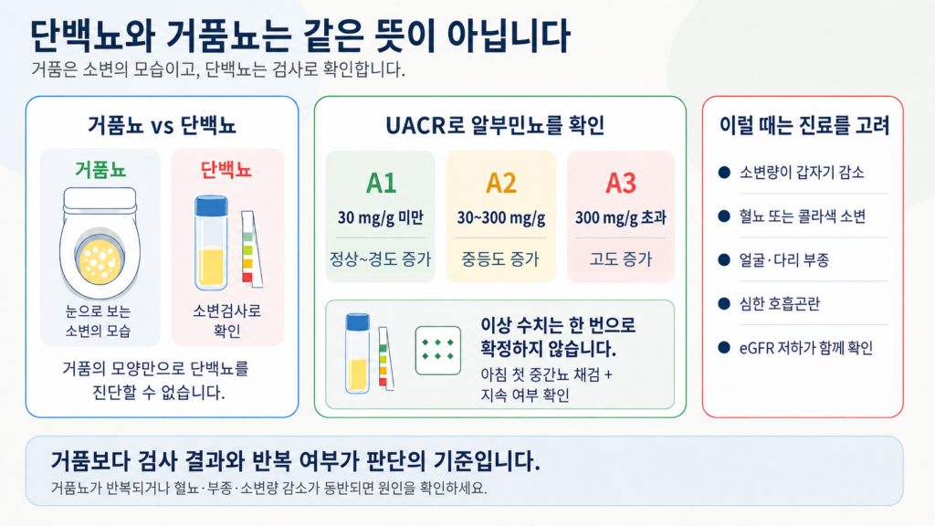 단백뇨와 거품뇨의 차이, UACR 수치 기준 및 병원 진료가 필요한 증상 요약